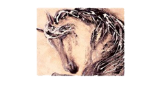 Horse Sensing Logo